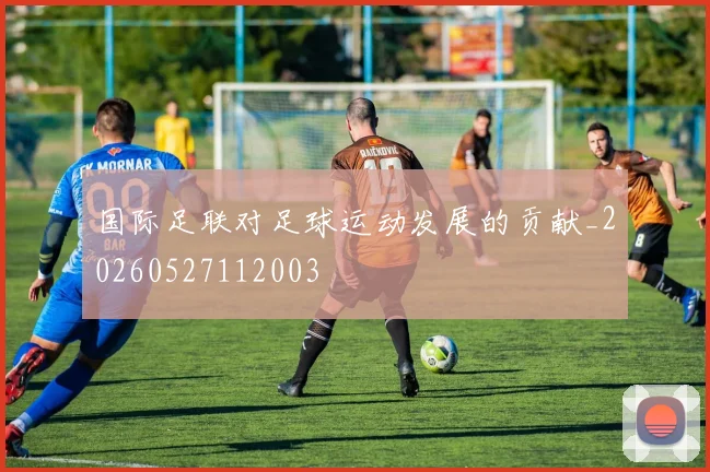 国际足联对足球运动发展的贡献_20260527112003